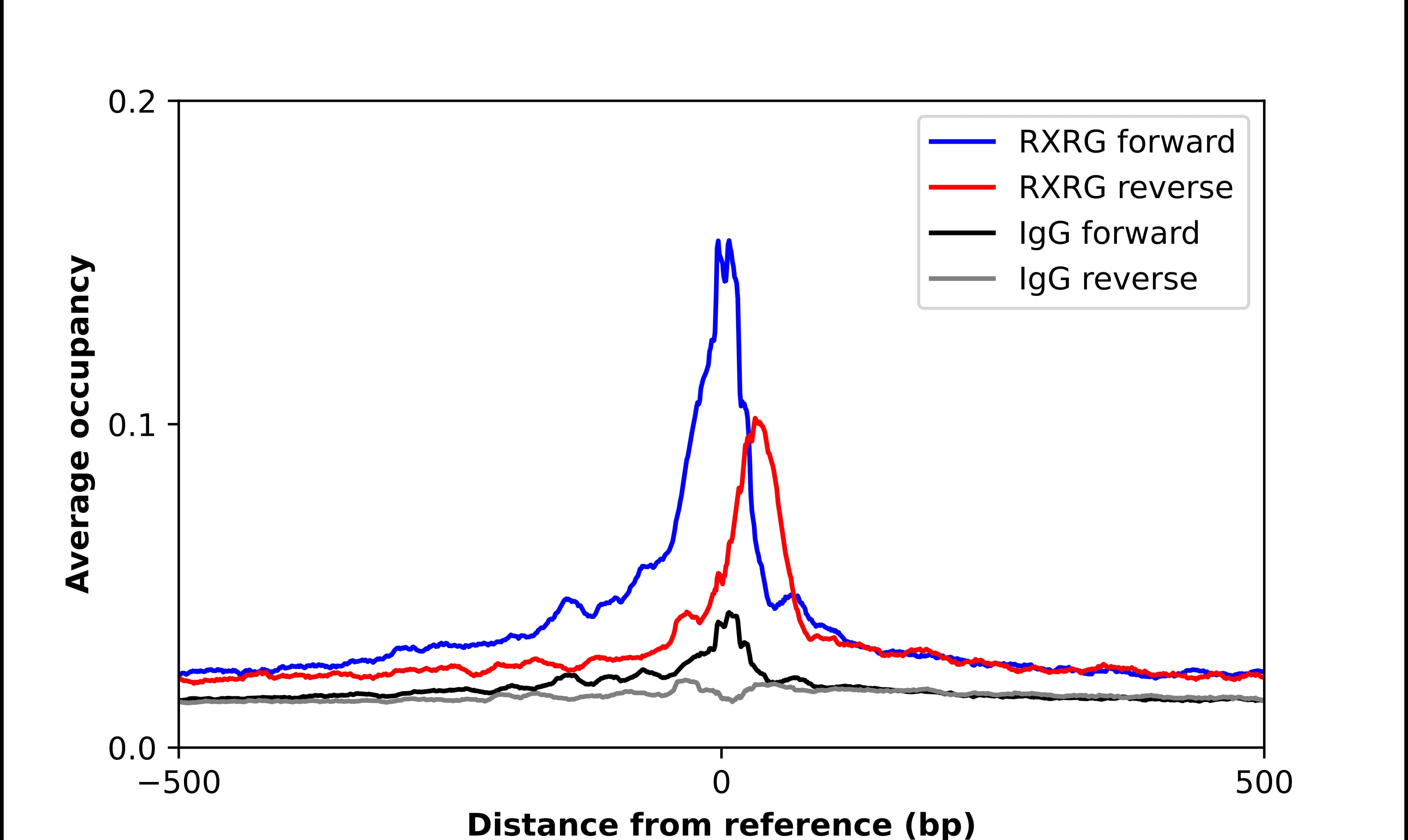 ChIP-Exo-Seq composite graph for Anti-RXR gamma/NR2B3 tested in K562 cells. Strand-specific reads (blue: forward, red: reverse) and IgG controls (black: forward, grey: reverse) are plotted against the distance from a composite set of reference binding sites. The antibody exhibits robust target enrichment compared to a non-specific IgG control and precisely reveals its structural organization around the binding site. Data generated by Prof. B. F. Pugh's Lab at Cornell University.