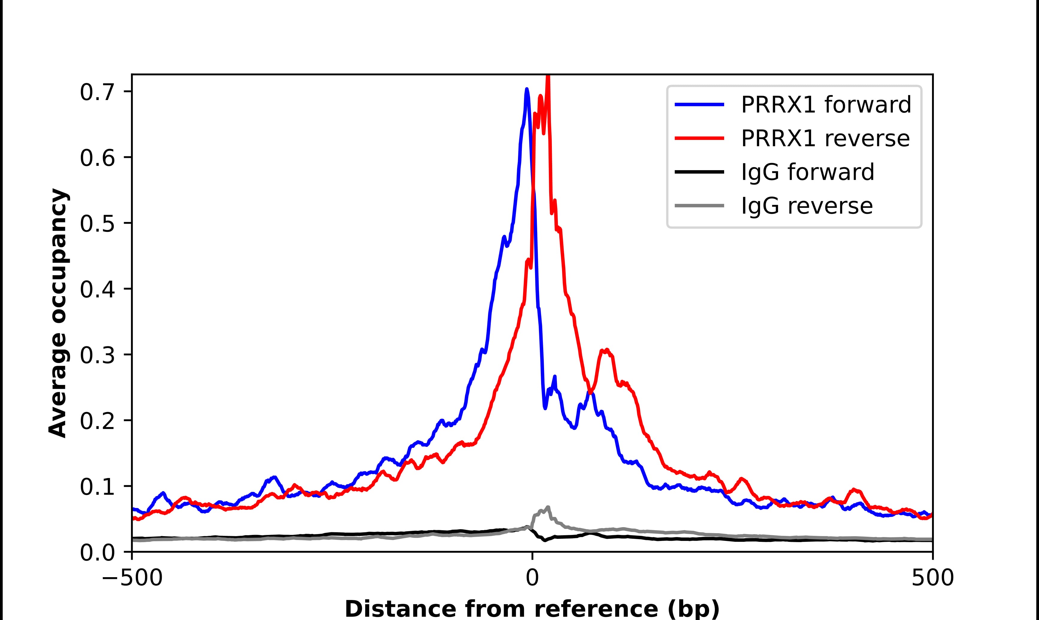 ChIP-Exo-Seq composite graph for Anti-PRRX1 (NBP2-68808) tested in K562 cells. Strand-specific reads (blue: forward, red: reverse) and IgG controls (black: forward, grey: reverse) are plotted against the distance from a composite set of reference binding sites. The antibody exhibits robust target enrichment compared to a non-specific IgG control and precisely reveals its structural organization around the binding site. Data generated by Prof. B. F. Pugh´s Lab at Cornell University.