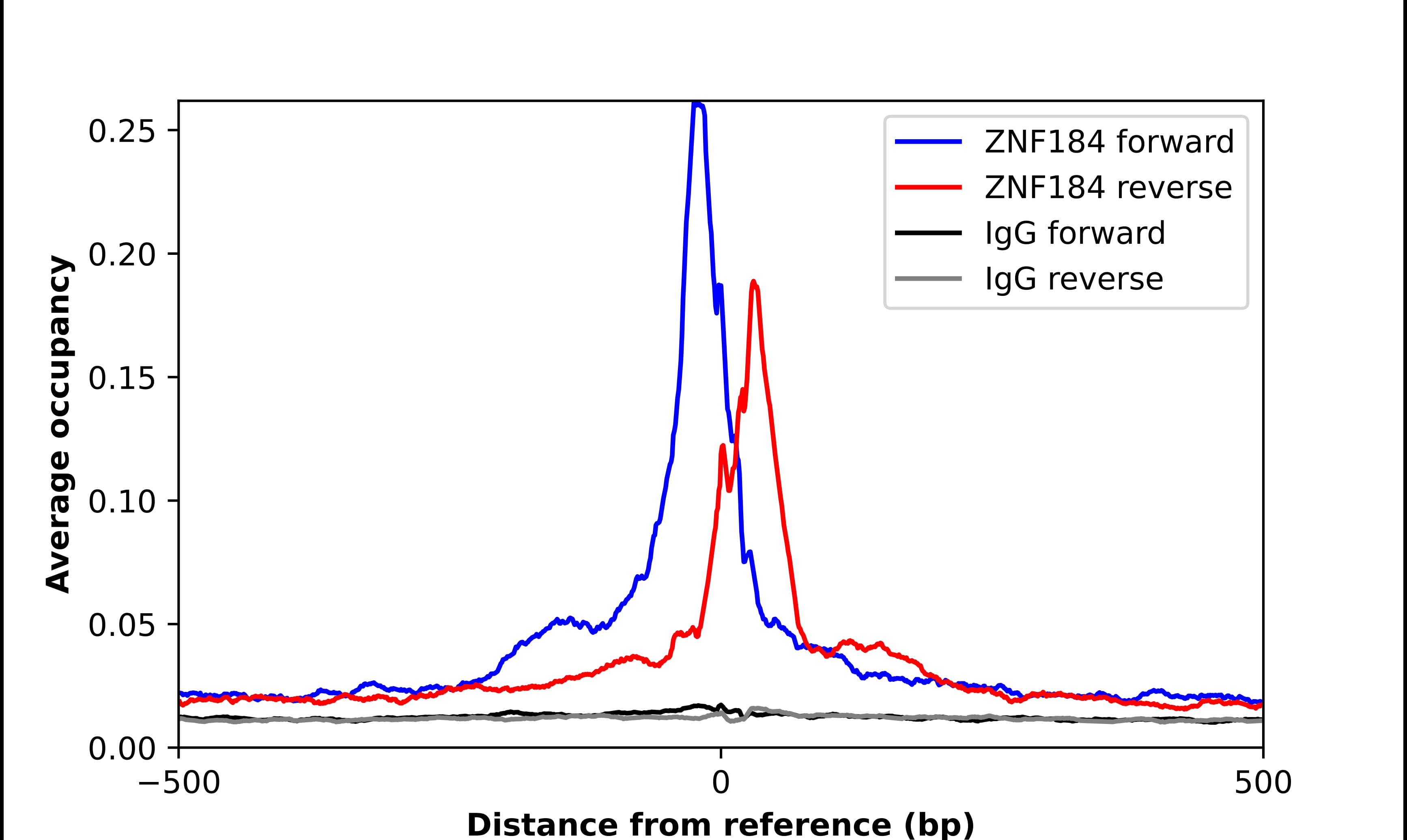Chromatin Immunoprecipitation ZNF184 Antibody - BSA Free