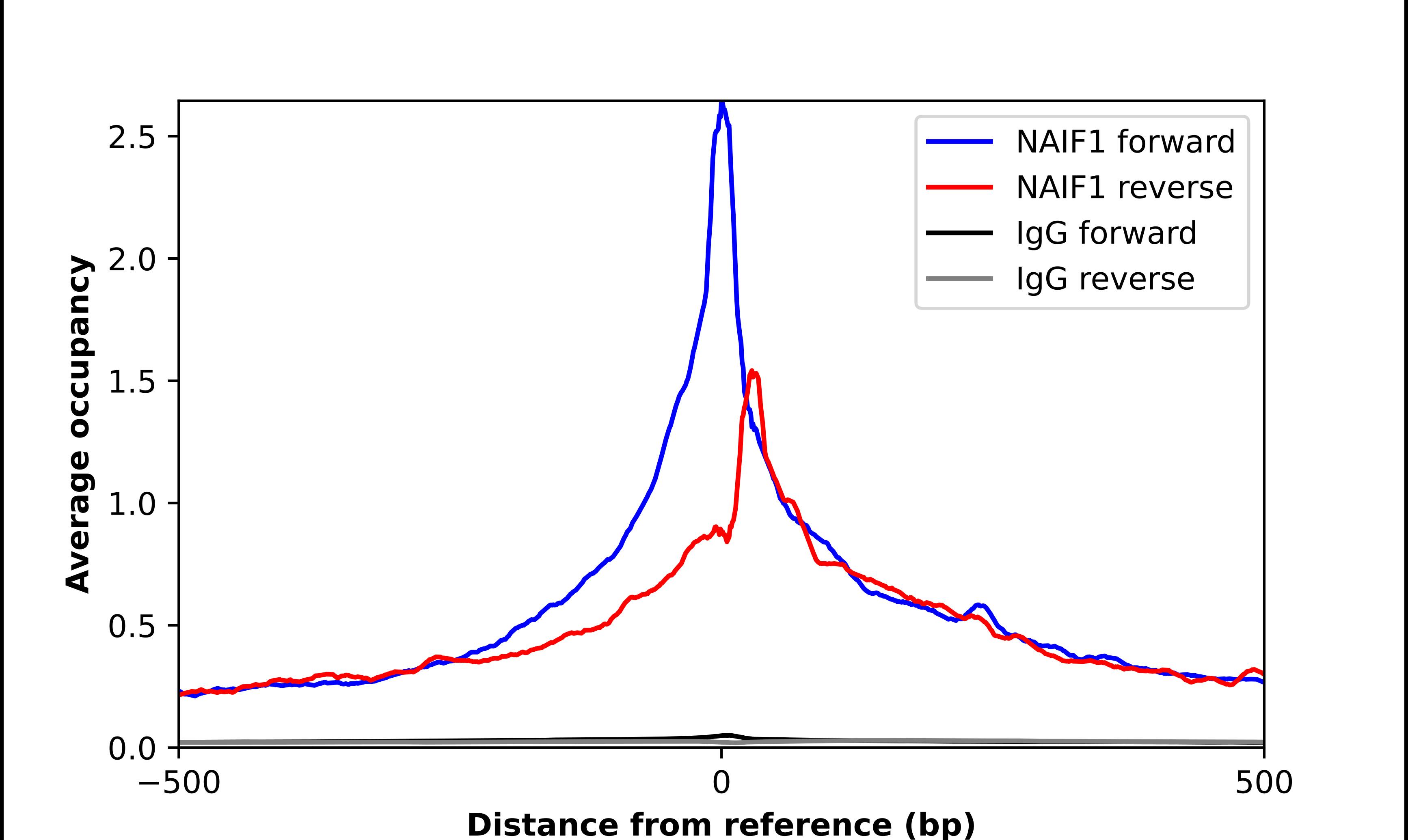 Chromatin Immunoprecipitation NAIF1 Antibody - BSA Free
