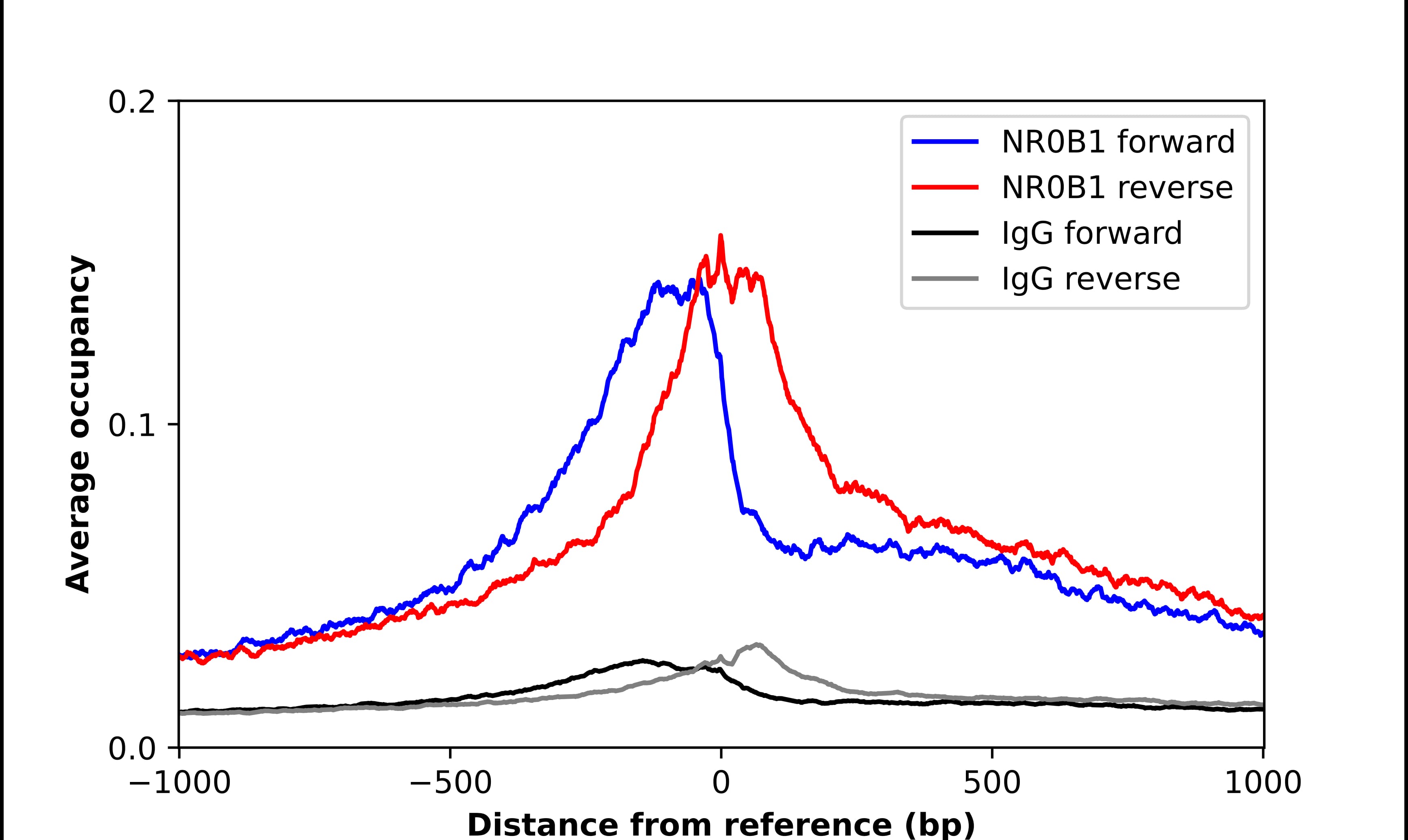 ChIP-Exo-Seq composite graph for Anti-NR0B1 (NBP2-68852) tested in K562 cells. Strand-specific reads (blue: forward, red: reverse) and IgG controls (black: forward, grey: reverse) are plotted against the distance from a composite set of reference binding sites. The antibody exhibits robust target enrichment compared to a non-specific IgG control and precisely reveals its structural organization around the binding site. Data generated by Prof. B. F. Pugh´s Lab at Cornell University.