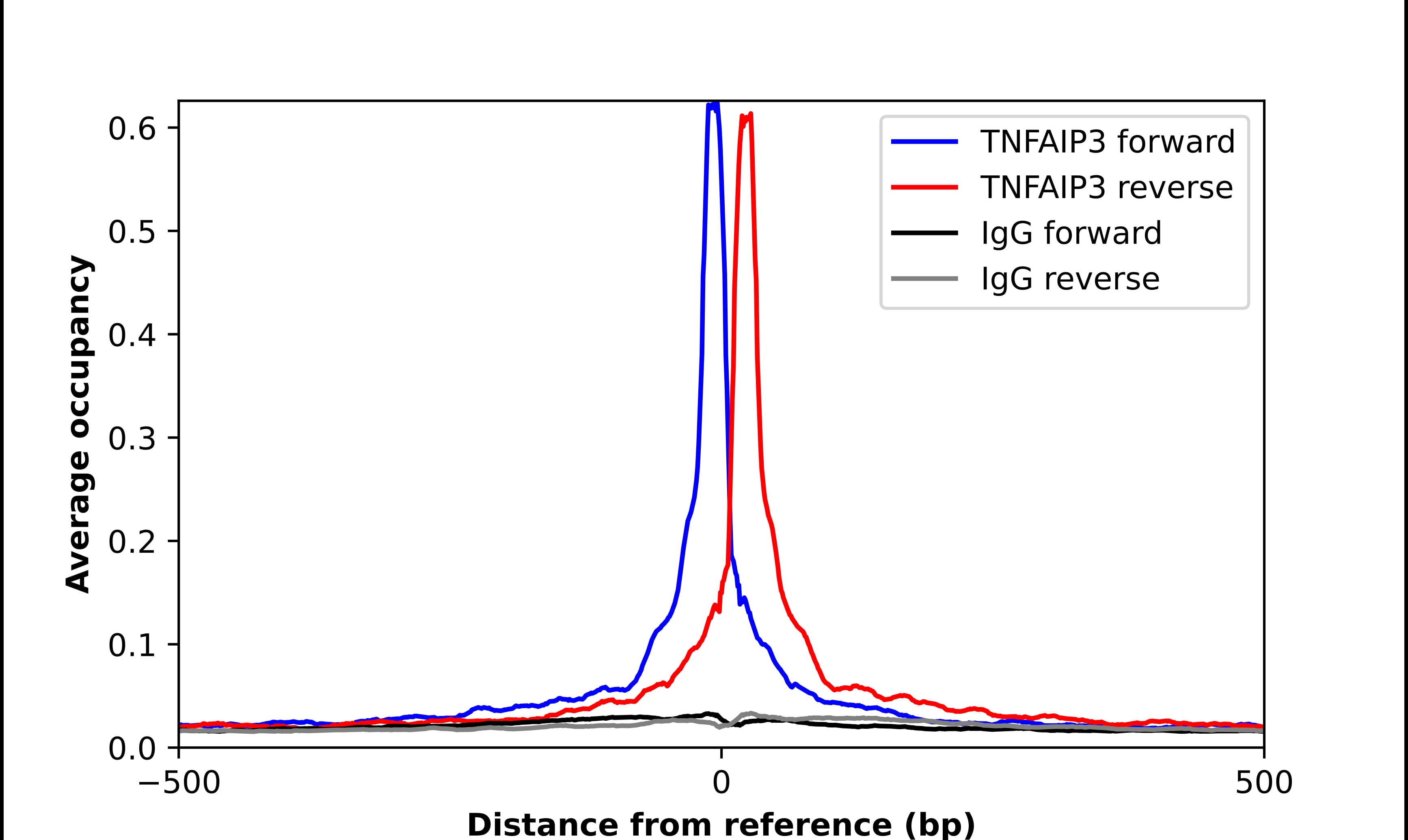 ChIP-Exo-Seq composite graph for Anti-A20/TNFAIP3 tested in K562 cells. Strand-specific reads (blue: forward, red: reverse) and IgG controls (black: forward, grey: reverse) are plotted against the distance from a composite set of reference binding sites. The antibody exhibits robust target enrichment compared to a non-specific IgG control and precisely reveals its structural organization around the binding site. Data generated by Prof. B. F. Pugh's Lab at Cornell University.