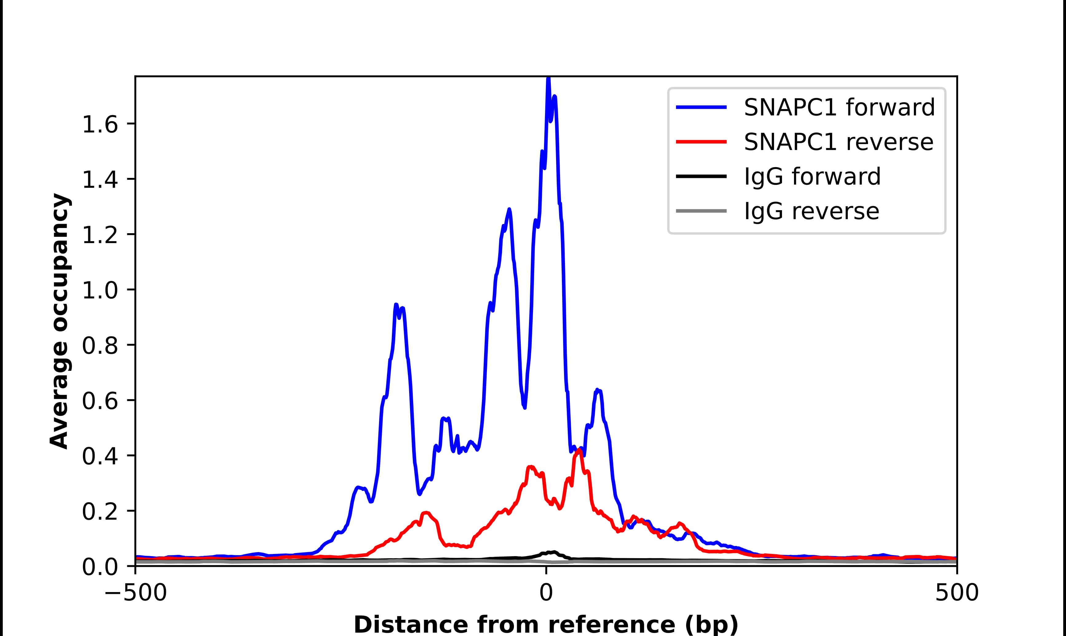 ChIP-Exo-Seq composite graph for Anti-SNAP43 tested in K562 cells. Strand-specific reads (blue: forward, red: reverse) and IgG controls (black: forward, grey: reverse) are plotted against the distance from a composite set of reference binding sites. The antibody exhibits robust target enrichment compared to a non-specific IgG control and precisely reveals its structural organization around the binding site. Data generated by Prof. B. F. Pugh's Lab at Cornell University.