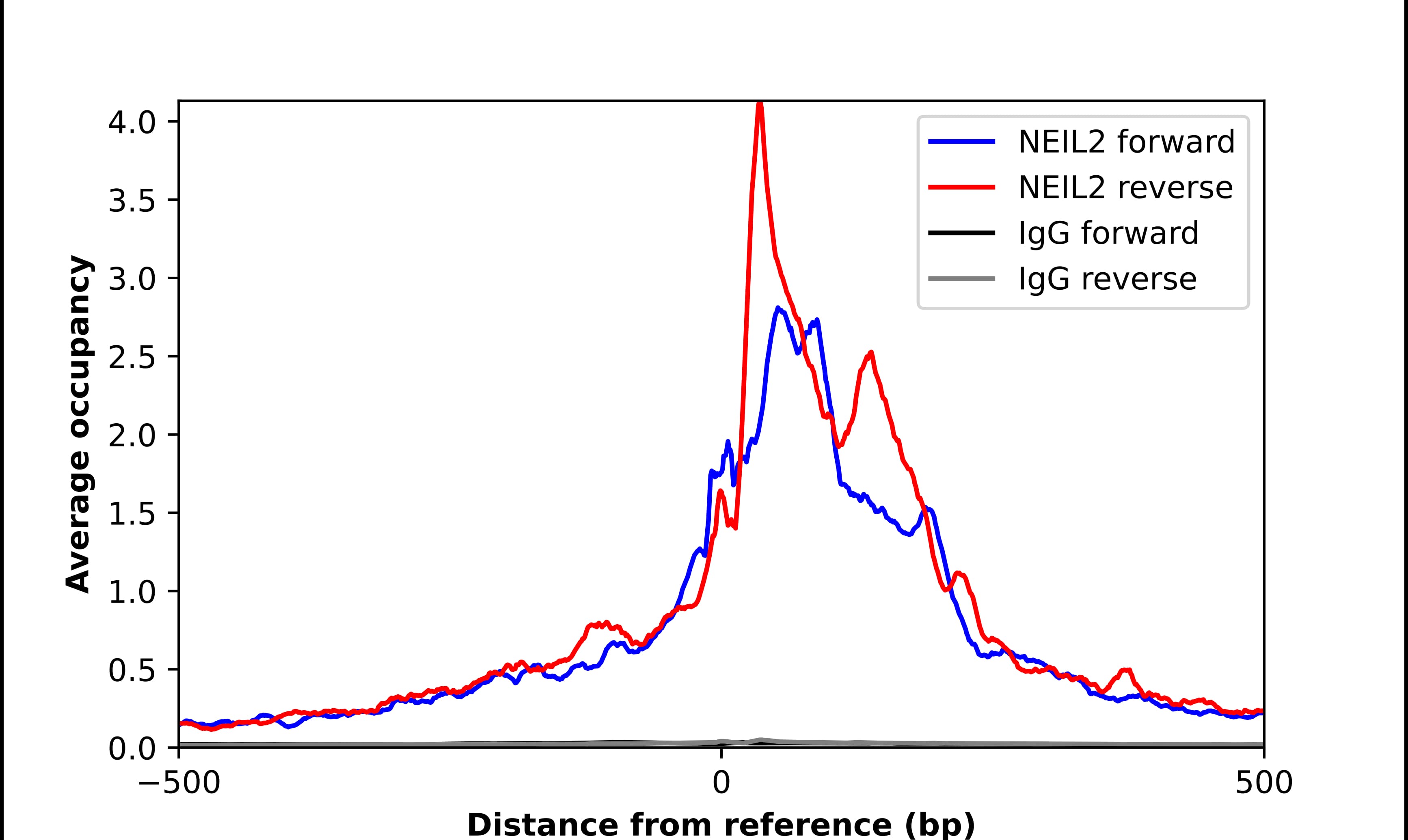 ChIP-Exo-Seq composite graph for Anti-NEIL2 tested in K562 cells. Strand-specific reads (blue: forward, red: reverse) and IgG controls (black: forward, grey: reverse) are plotted against the distance from a composite set of reference binding sites. The antibody exhibits robust target enrichment compared to a non-specific IgG control and precisely reveals its structural organization around the binding site. Data generated by Prof. B. F. Pugh's Lab at Cornell University.