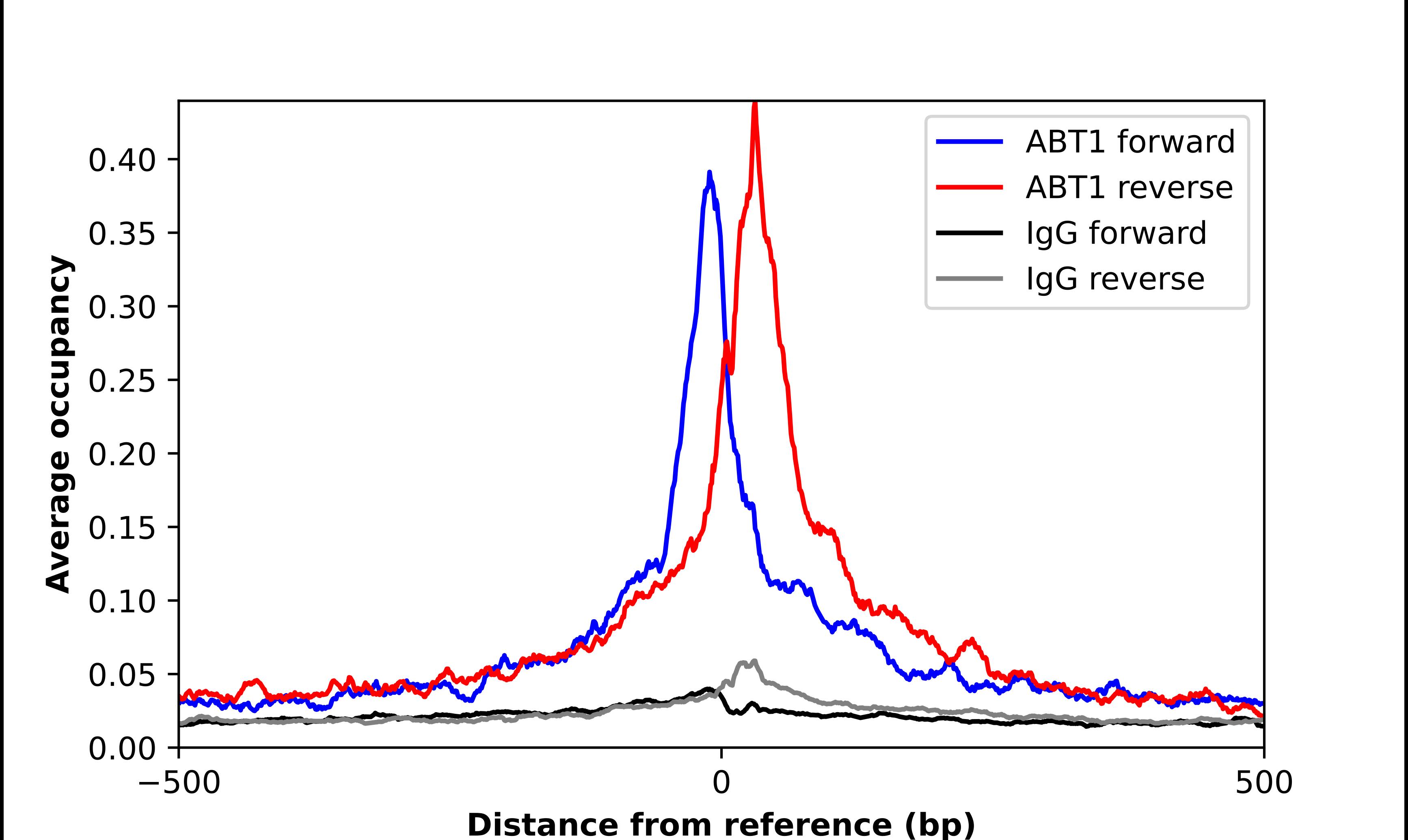Chromatin Immunoprecipitation ABT1 Antibody - BSA Free