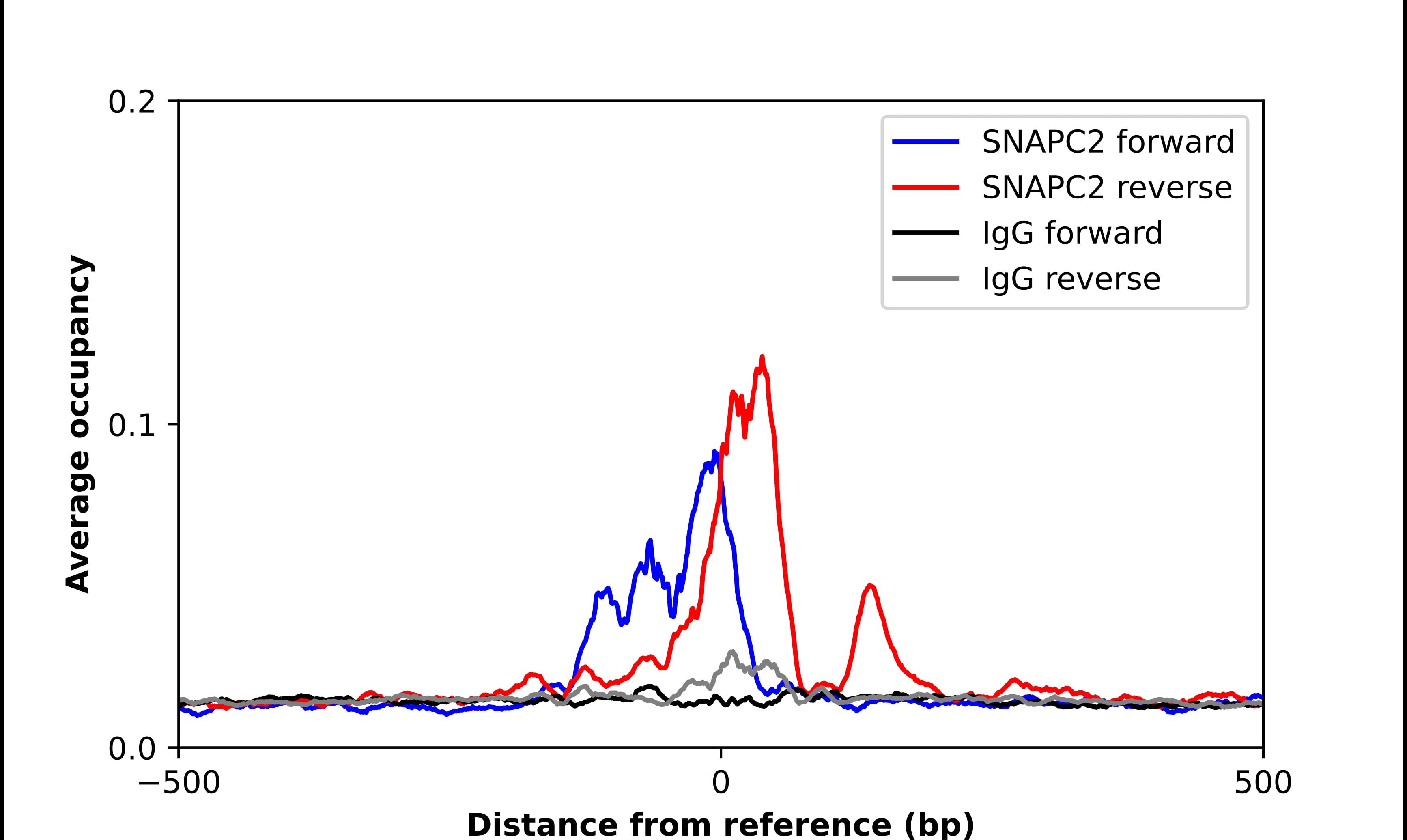 Chromatin Immunoprecipitation SNAP45 Antibody - BSA Free