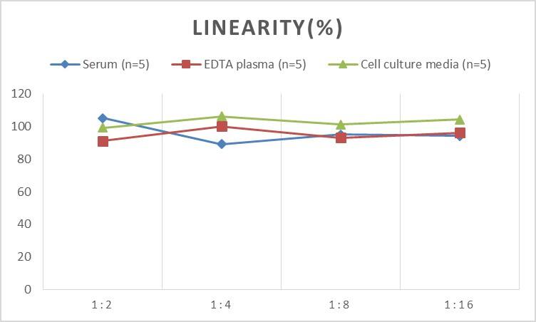 ELISA: Human Apelin 17 ELISA Kit (Colorimetric) [NBP2-69085] - Samples were spiked with high concentrations of Human Apelin 17 and diluted with Reference Standard & Sample Diluent to produce samples with values within the range of the assay.