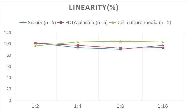 ELISA: Human Apelin 36 ELISA Kit (Colorimetric) [NBP2-69086] - Samples were spiked with high concentrations of Human Apelin 36 and diluted with Reference Standard & Sample Diluent to produce samples with values within the range of the assay.