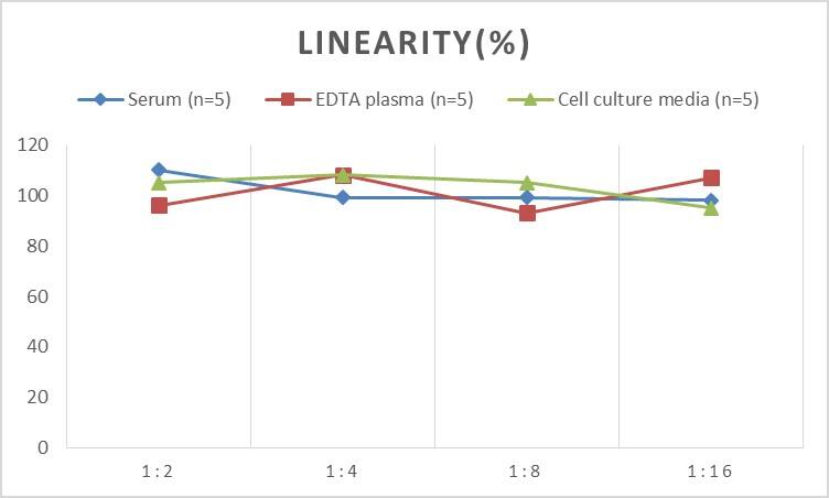 ELISA: Human Apolipoprotein CIII ELISA Kit (Chemiluminescence) [NBP2-69828] - Samples were spiked with high concentrations of Human Apolipoprotein CIII and diluted with Reference Standard & Sample Diluent to produce samples with values within the range of the assay.