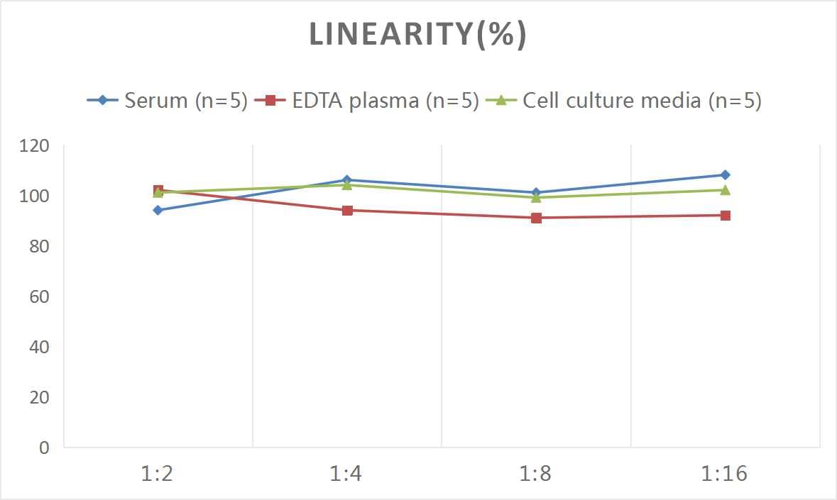 ELISA: Mouse Apolipoprotein CIII ELISA Kit (Colorimetric) [NBP2-69829] - Samples were spiked with high concentrations of Mouse Apolipoprotein CIII and diluted with Reference Standard & Sample Diluent to produce samples with values within the range of the assay.