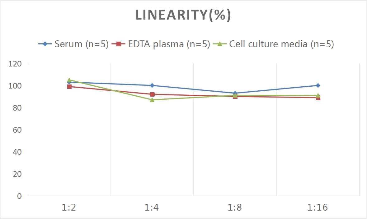 ELISA: Mouse Aquaporin-4 ELISA Kit (Colorimetric) [NBP2-69852] - Samples were spiked with high concentrations of Mouse Aquaporin-4 and diluted with Reference Standard & Sample Diluent to produce samples with values within the range of the assay.