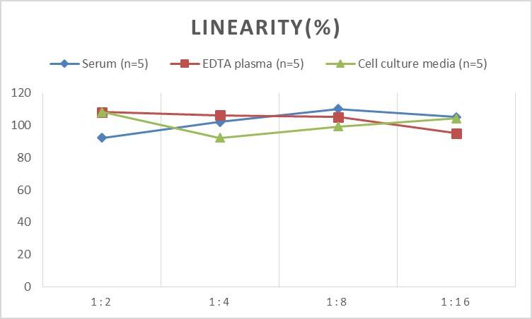 ELISA Human Androgen R/NR3C4 ELISA Kit (Chemiluminescence)