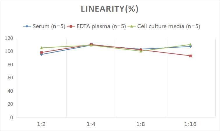 ELISA: Rat Amphiregulin ELISA Kit (Chemiluminescence) [NBP2-69855] - Samples were spiked with high concentrations of Rat Amphiregulin and diluted with Reference Standard & Sample Diluent to produce samples with values within the range of the assay.