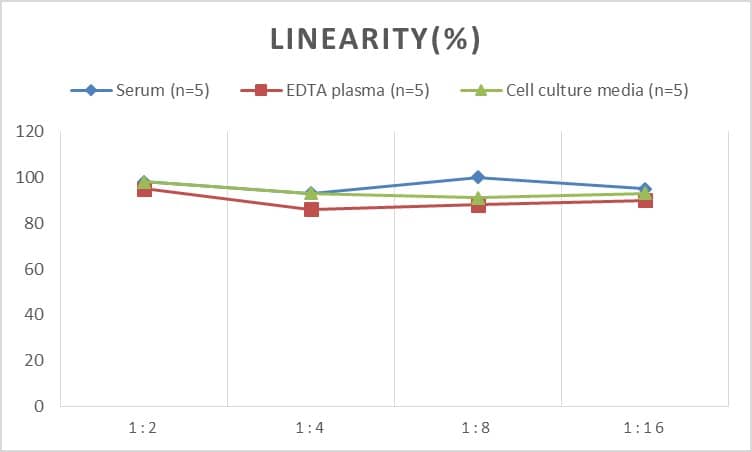 ELISA: Rat Amphiregulin ELISA Kit (Colorimetric) [NBP2-69856] - Samples were spiked with high concentrations of Rat Amphiregulin and diluted with Reference Standard & Sample Diluent to produce samples with values within the range of the assay.