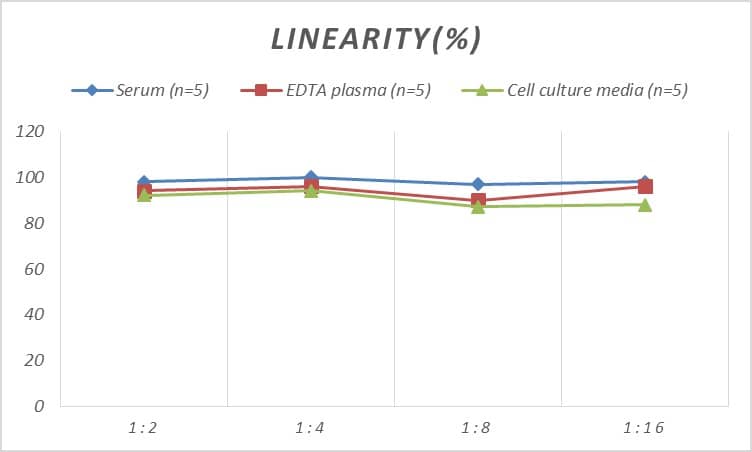 ELISA: Rabbit Amphiregulin ELISA Kit (Colorimetric) [NBP2-69857] - Samples were spiked with high concentrations of Rabbit Amphiregulin and diluted with Reference Standard & Sample Diluent to produce samples with values within the range of the assay.