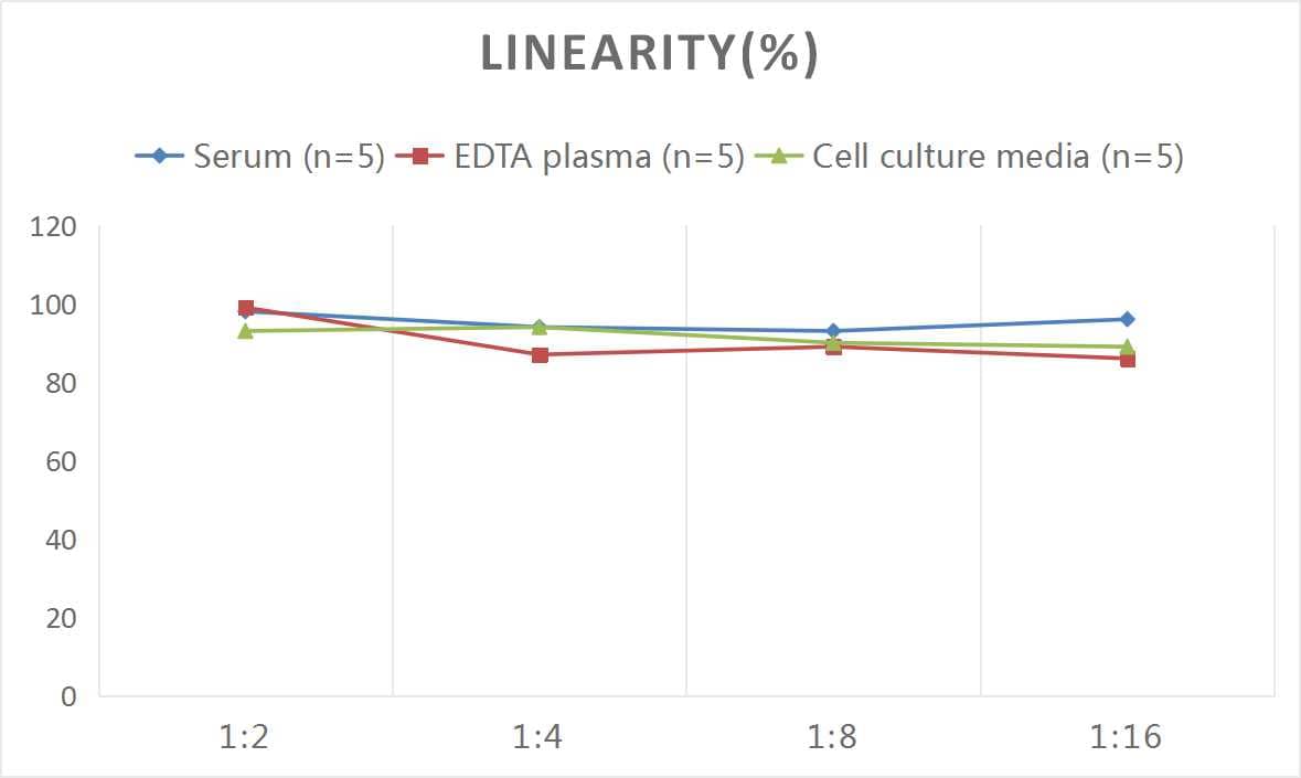 ELISA: Human Aldo-keto Reductase 1B10/AKR1B10 ELISA Kit (Colorimetric) [NBP2-69860] - Samples were spiked with high concentrations of Human Aldo-keto Reductase 1B10/AKR1B10 and diluted with Reference Standard & Sample Diluent to produce samples with values within the range of the assay.