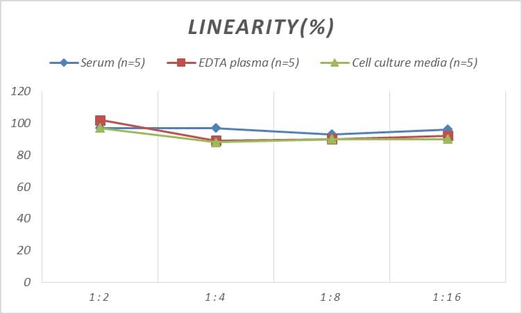 ELISA: Mouse ARNT2 ELISA Kit (Colorimetric) [NBP2-69861] - Samples were spiked with high concentrations of Mouse ARNT2 and diluted with Reference Standard & Sample Diluent to produce samples with values within the range of the assay.