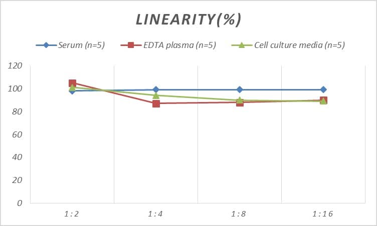 ELISA: Rat ARNT2 ELISA Kit (Colorimetric) [NBP2-69862] - Samples were spiked with high concentrations of Rat ARNT2 and diluted with Reference Standard & Sample Diluent to produce samples with values within the range of the assay.