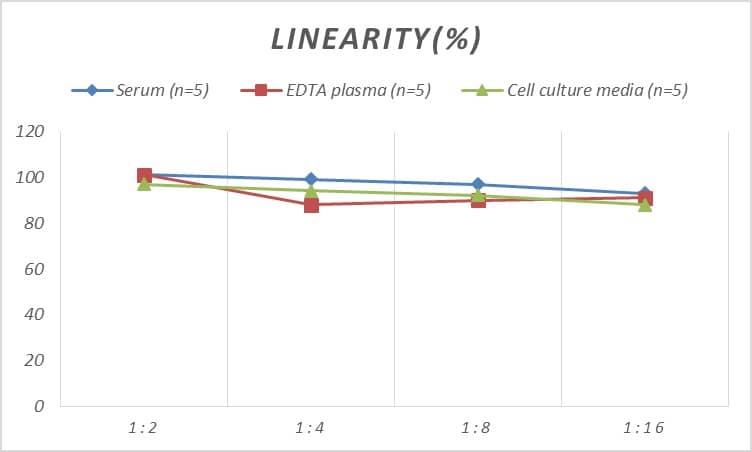 ELISA: Human beta-Arrestin 1 ELISA Kit (Colorimetric) [NBP2-69864] - Samples were spiked with high concentrations of Human beta-Arrestin 1 and diluted with Reference Standard & Sample Diluent to produce samples with values within the range of the assay.