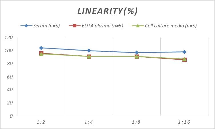 ELISA: Human beta-Arrestin 2 ELISA Kit (Colorimetric) [NBP2-69865] - Samples were spiked with high concentrations of Human beta-Arrestin 2 and diluted with Reference Standard & Sample Diluent to produce samples with values within the range of the assay.