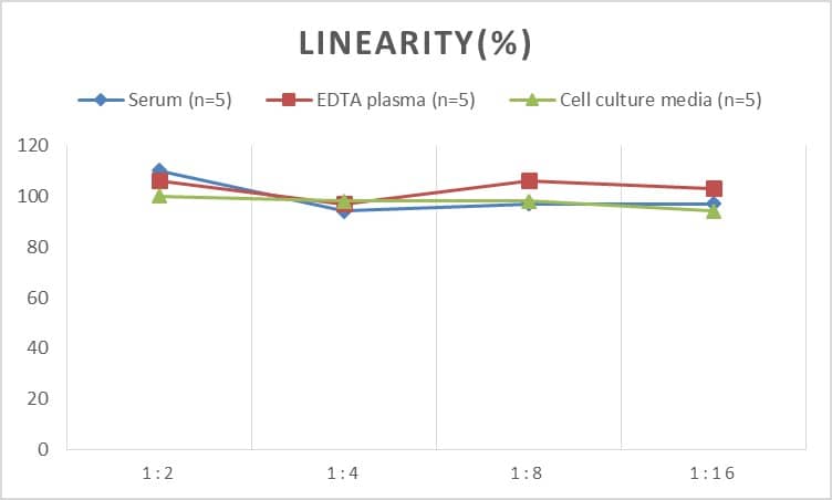 ELISA: Human ASGPR1 ELISA Kit (Chemiluminescence) [NBP2-69867] - Samples were spiked with high concentrations of Human ASGPR1 and diluted with Reference Standard & Sample Diluent to produce samples with values within the range of the assay.