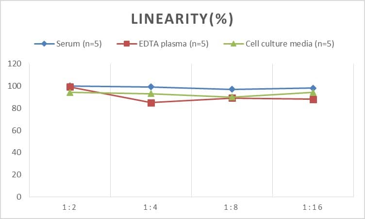 ELISA: Human Asialoglycoprotein Receptor 2 ELISA Kit (Colorimetric) [NBP2-69872] - Samples were spiked with high concentrations of Human Asialoglycoprotein Receptor 2 and diluted with Reference Standard & Sample Diluent to produce samples with values within the range of the assay.