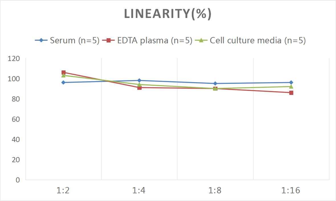 ELISA: Rat Aspartate Aminotransferase ELISA Kit (Colorimetric) [NBP2-69878] - Samples were spiked with high concentrations of Rat Aspartate Aminotransferase and diluted with Reference Standard & Sample Diluent to produce samples with values within the range of the assay.