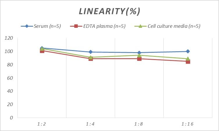 ELISA: Rat V1a Vasopressin R/AVPR1A ELISA Kit (Colorimetric) [NBP2-69902] - Samples were spiked with high concentrations of Rat V1a Vasopressin R/AVPR1A and diluted with Reference Standard & Sample Diluent to produce samples with values within the range of the assay.