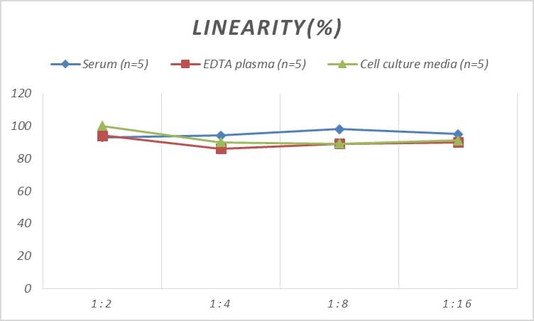 ELISA: Rat Axin-2 ELISA Kit (Colorimetric) [NBP2-69905] - Samples were spiked with high concentrations of Rat Axin-2 and diluted with Reference Standard & Sample Diluent to produce samples with values within the range of the assay.