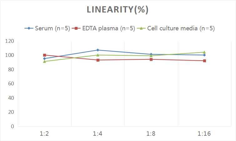 ELISA: Human Amyloid Beta 1-42 ELISA Kit (Colorimetric) [NBP2-69913] - Samples were spiked with high concentrations of Human Amyloid Beta 1-42 and diluted with Reference Standard & Sample Diluent to produce samples with values within the range of the assay.