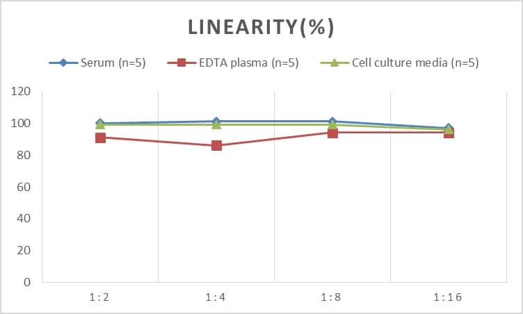 ELISA: Monkey Amyloid Beta 1-42 ELISA Kit (Colorimetric) [NBP2-69915] - Samples were spiked with high concentrations of Monkey Amyloid Beta 1-42 and diluted with Reference Standard & Sample Diluent to produce samples with values within the range of the assay.