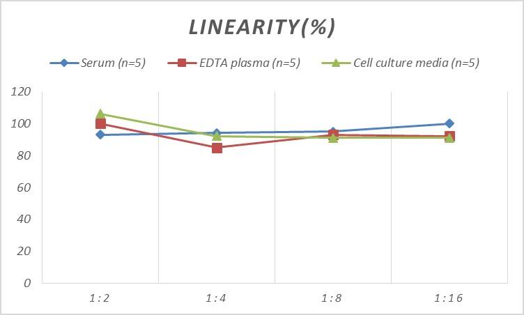 ELISA Human B3GALTL ELISA Kit (Colorimetric)