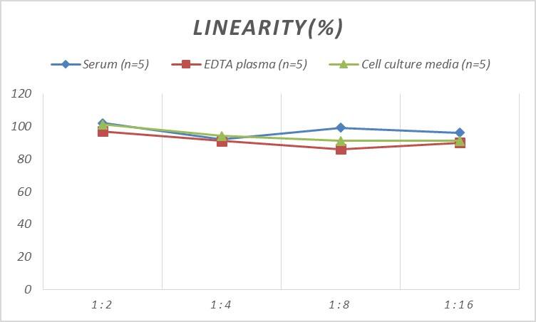 ELISA Human Bad ELISA Kit (Colorimetric)