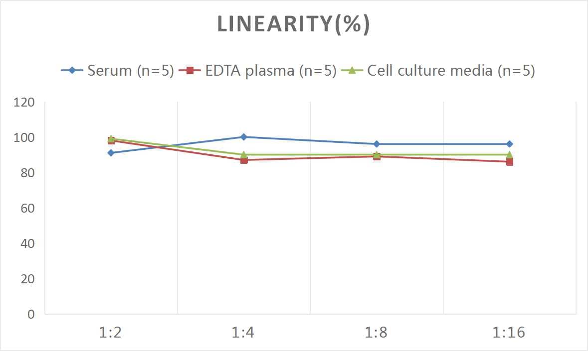 ELISA: Human BANP ELISA Kit (Colorimetric) [NBP2-69935] - Samples were spiked with high concentrations of Human BANP and diluted with Reference Standard & Sample Diluent to produce samples with values within the range of the assay.