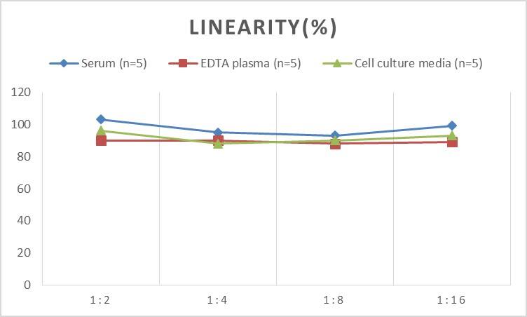 ELISA Human p130Cas/BCAR1 ELISA Kit (Colorimetric)