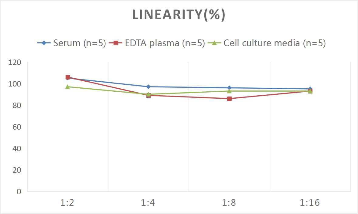 ELISA Human Ctip1 ELISA Kit (Colorimetric)