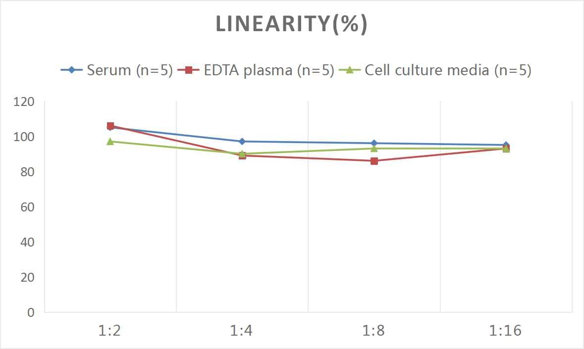 ELISA: Human Ctip1 ELISA Kit (Colorimetric) [NBP2-69942] - Samples were spiked with high concentrations of Human Ctip1 and diluted with Reference Standard & Sample Diluent to produce samples with values within the range of the assay.