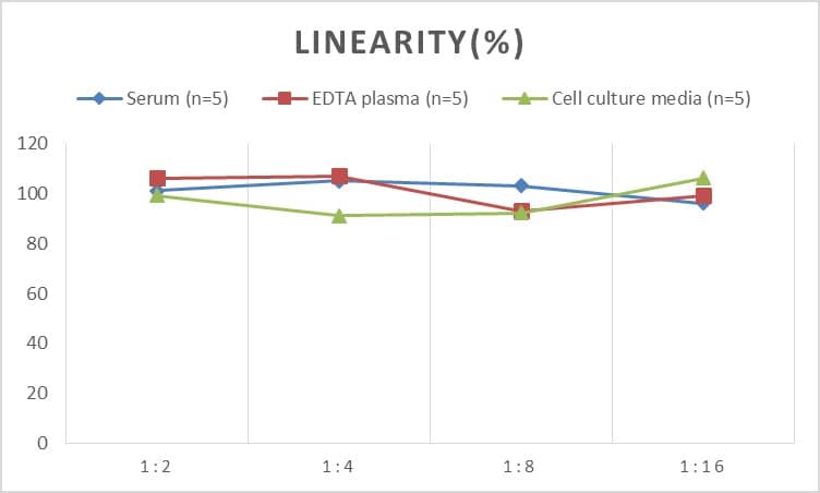 ELISA: Human bcl-x ELISA Kit (Chemiluminescence) [NBP2-69949] - Samples were spiked with high concentrations of Human bcl-x and diluted with Reference Standard & Sample Diluent to produce samples with values within the range of the assay.