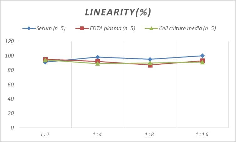 ELISA: Rat Bcl3 ELISA Kit (Colorimetric) [NBP2-69956] - Samples were spiked with high concentrations of Rat Bcl3 and diluted with Reference Standard & Sample Diluent to produce samples with values within the range of the assay.