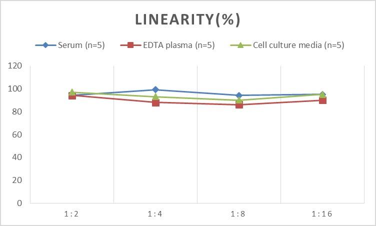 ELISA: Human Bcl3 ELISA Kit (Colorimetric) [NBP2-69957] - Samples were spiked with high concentrations of Human Bcl3 and diluted with Reference Standard & Sample Diluent to produce samples with values within the range of the assay.