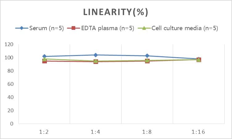 ELISA: Rabbit FGF basic/FGF2/bFGF ELISA Kit (Colorimetric) [NBP2-69962] - Samples were spiked with high concentrations of Rabbit FGF basic/FGF2/bFGF and diluted with Reference Standard & Sample Diluent to produce samples with values within the range of the assay.