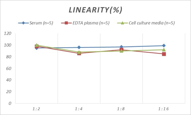 ELISA: Human ZNF179 ELISA Kit (Colorimetric) [NBP2-69963] - Samples were spiked with high concentrations of Human ZNF179 and diluted with Reference Standard & Sample Diluent to produce samples with values within the range of the assay.