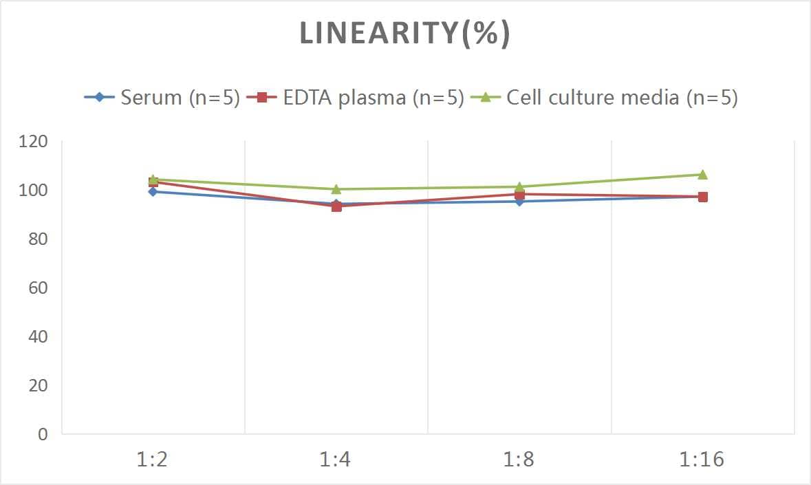 ELISA: Mouse Bradykinin ELISA Kit (Colorimetric) [NBP2-69970] - Samples were spiked with high concentrations of Mouse Bradykinin and diluted with Reference Standard & Sample Diluent to produce samples with values within the range of the assay.