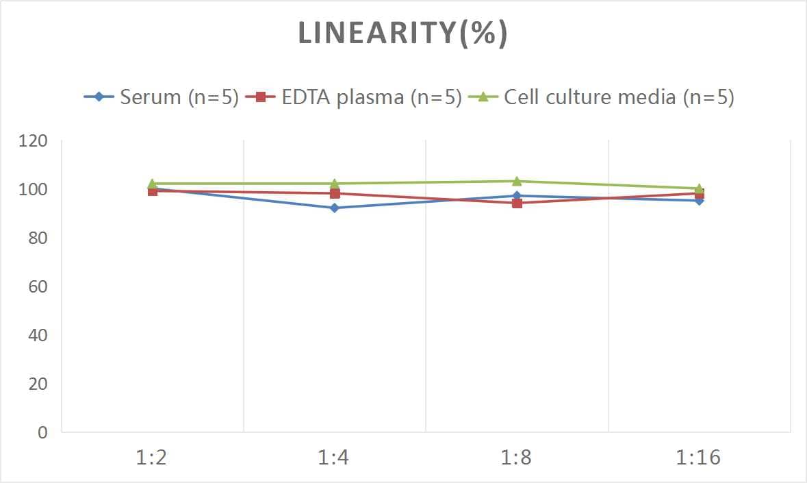 ELISA: Rat Bradykinin ELISA Kit (Colorimetric) [NBP2-69971] - Samples were spiked with high concentrations of Rat Bradykinin and diluted with Reference Standard & Sample Diluent to produce samples with values within the range of the assay.