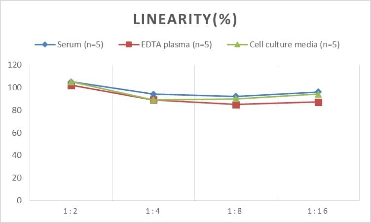 ELISA: Human BLNK ELISA Kit (Colorimetric) [NBP2-69972] - Samples were spiked with high concentrations of Human BLNK and diluted with Reference Standard & Sample Diluent to produce samples with values within the range of the assay.