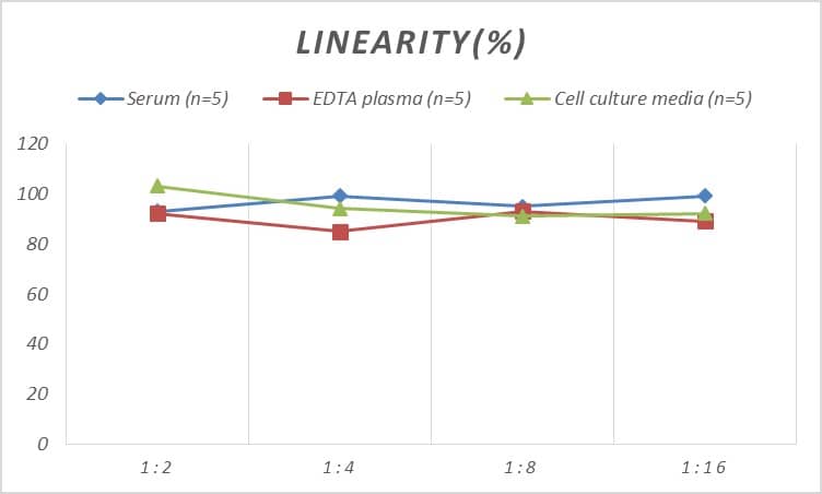 ELISA Human Biliverdin Reductase A/BLVRA ELISA Kit (Colorimetric)