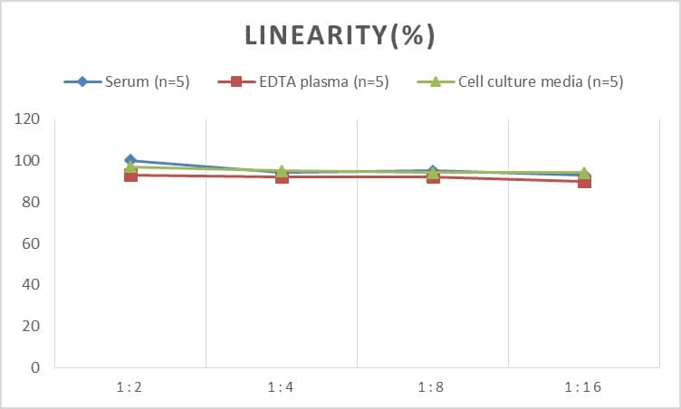 ELISA: Rat BMP-3 ELISA Kit (Colorimetric) [NBP2-69994] - Samples were spiked with high concentrations of Rat BMP-3 and diluted with Reference Standard & Sample Diluent to produce samples with values within the range of the assay.