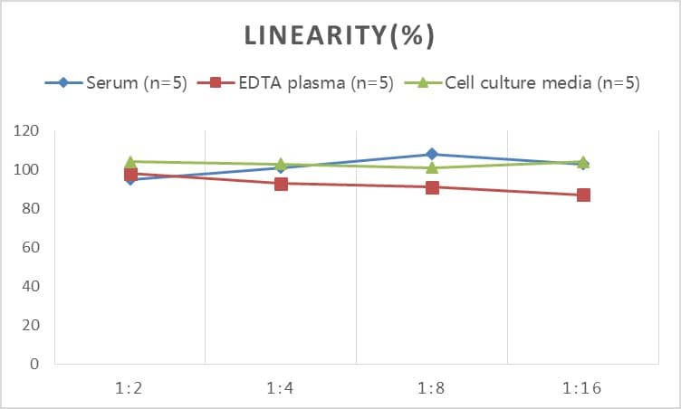 ELISA: Rat BMP-6 ELISA Kit (Colorimetric) [NBP2-69999] - Samples were spiked with high concentrations of Rat BMP-6 and diluted with Reference Standard & Sample Diluent to produce samples with values within the range of the assay.