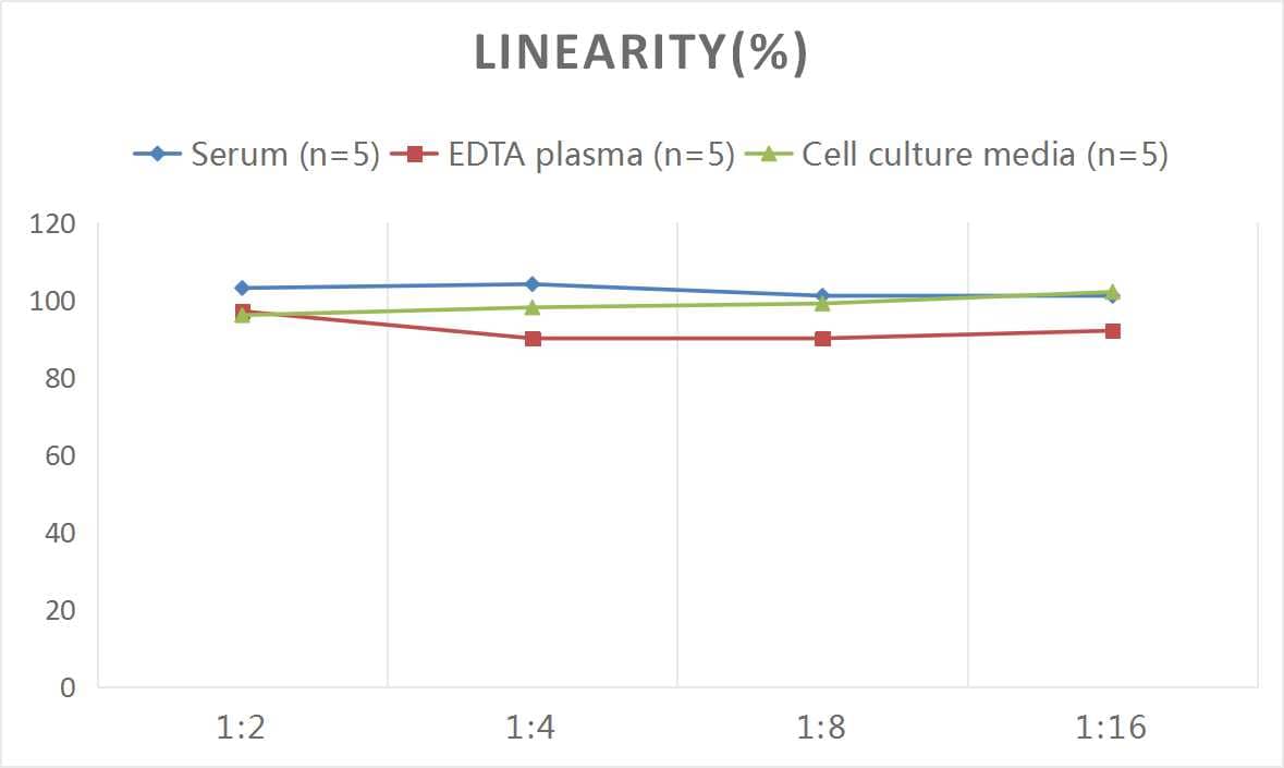 ELISA Rat BMP-7 ELISA Kit (Colorimetric)