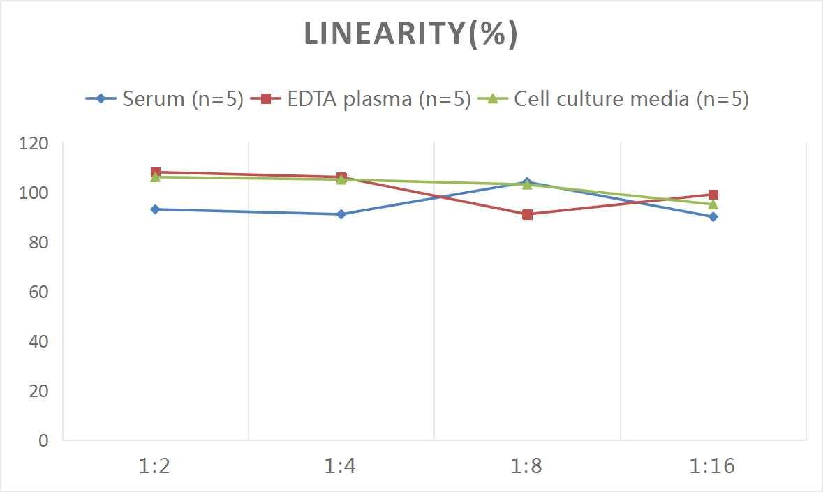 ELISA: Human CXCL14/BRAK ELISA Kit (Chemiluminescence) [NBP2-70018] - Samples were spiked with high concentrations of Human CXCL14/BRAK and diluted with Reference Standard & Sample Diluent to produce samples with values within the range of the assay.